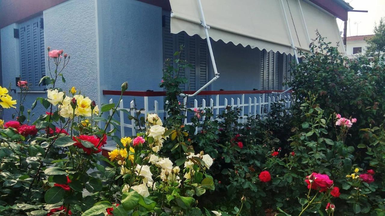 דירות טריקלה Rose'S House מראה חיצוני תמונה